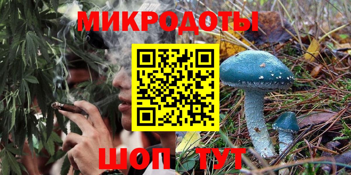 Галлюциногенные грибы Cubensis Воркута